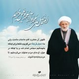 آلبوم تصاویر حضرت آیت الله العظمی بهجت ره  (345/460)